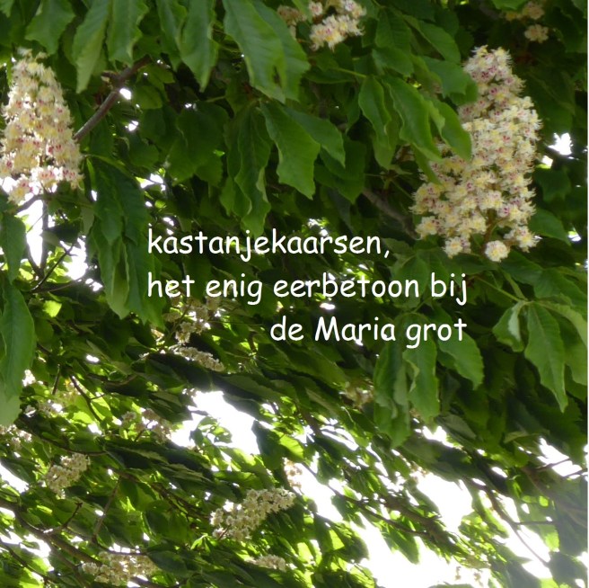 kastanjekaarsen, / het enig eerbetoon bij / de mariagrot