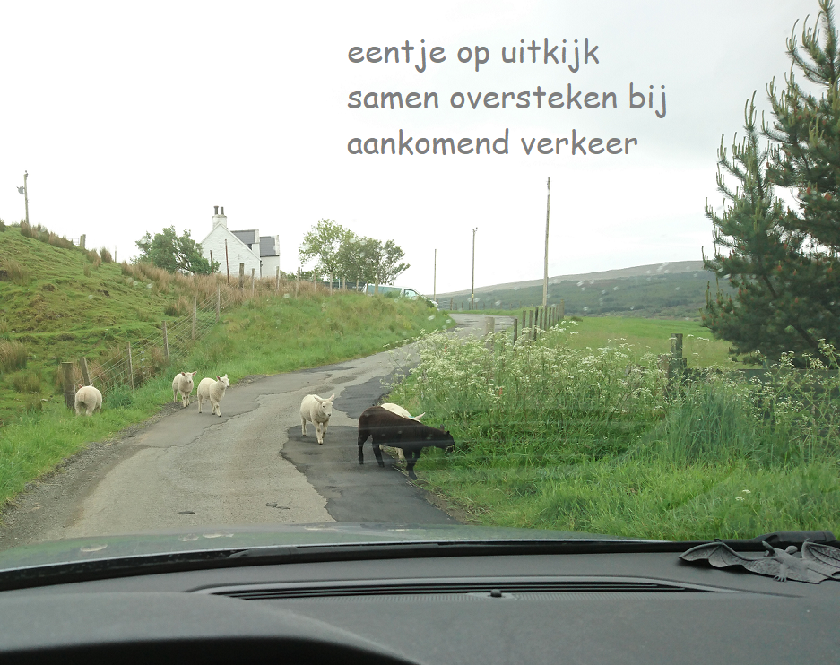 eentje op uitkijk / samen oversteken bij / aankomend verkeer