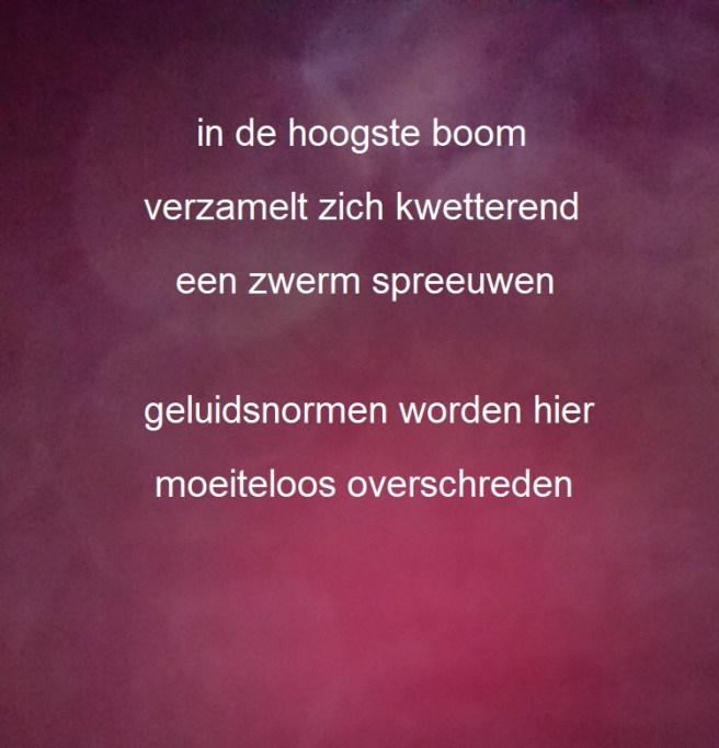 in de hoogste boom / verzamelen zich kwetteren / een zwerm spreeuwen // geluidsnormen worden hier / moeiteloos overschreden