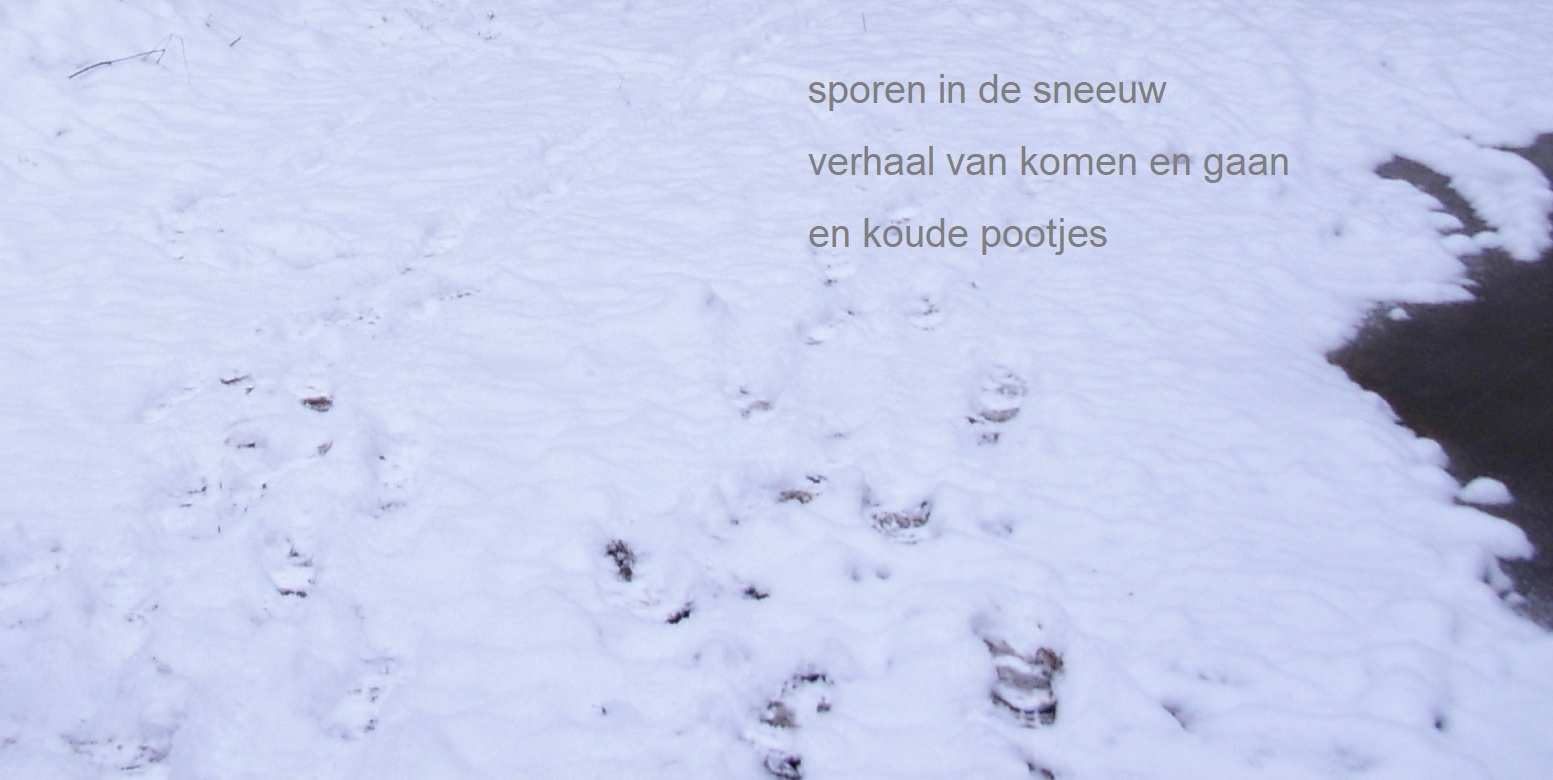 sporen in de sneeuw / verhaal van komen en gaan / en koude pootjes