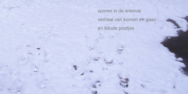 sporen in de sneeuw / verhaal van komen en gaan / en koude pootjes