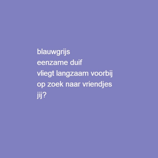 blauwgrijs / eenzame duif /vliegt langzaam voorbij / op zoek naar vriendjes / jij?