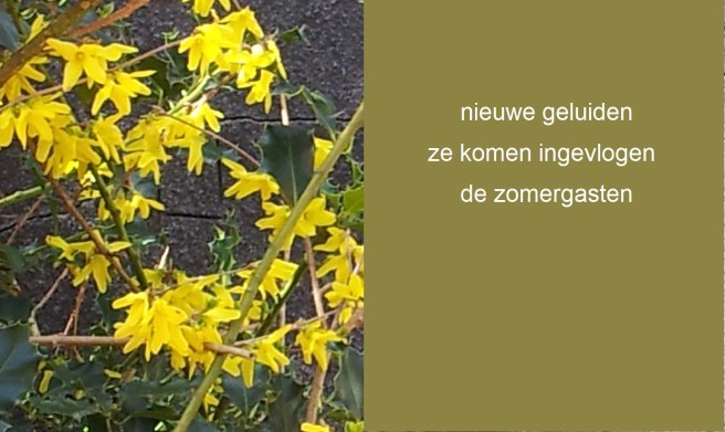 nieuwe geluiden / ze komen ingevlogen / de zomergasten