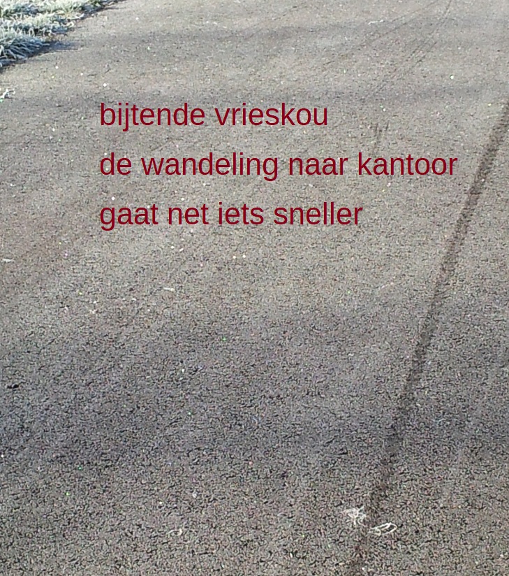 bijtende vrieskou
de wandeling naar kantoor
gaat net iets sneller