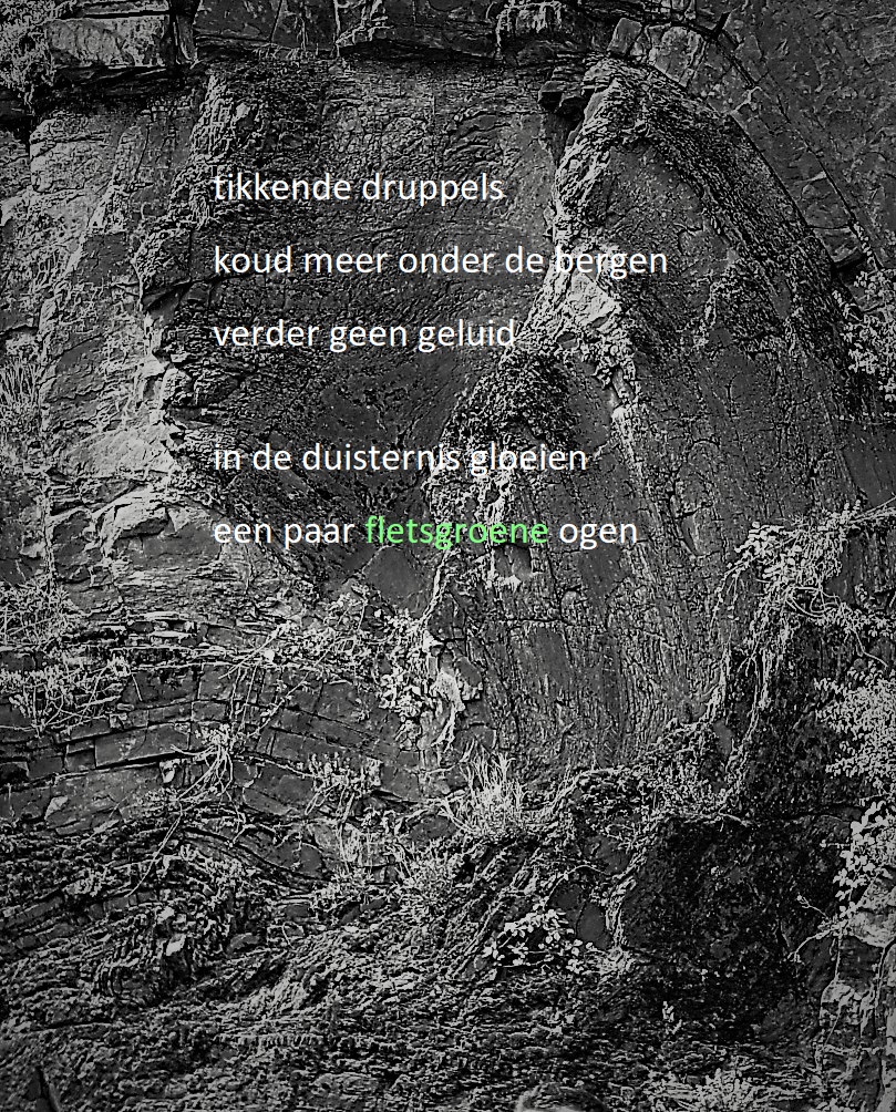tikkende druppels
koud meer onder de bergen
verder geen geluid

in de duisternis gloeien
een paar fletsgroene ogen