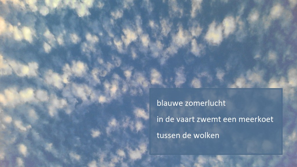 blauwe zomerlucht
in de vaart zwemt een meerkoet
tussen de wolken
