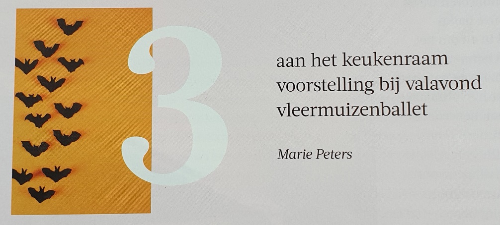 aan het keuken raam / voorstelling bij valavond / vleermuizenballet