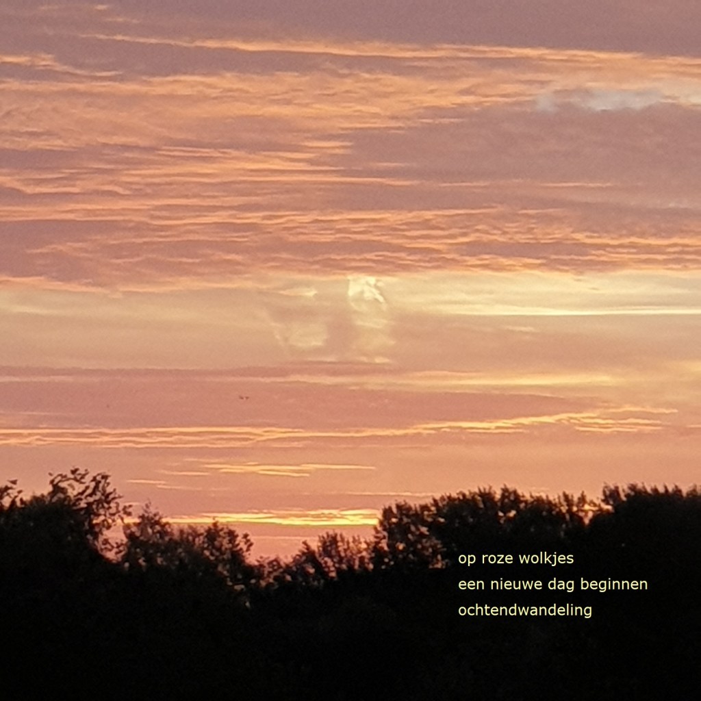 op roze wolkjes / een nieuwe dag beginnen / ochtendwandeling